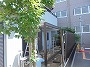 DSC02176